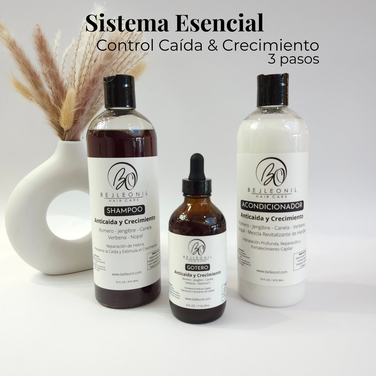 Sistema Esencial Control Caída y Crecimiento